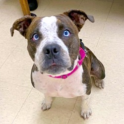 Photo of Diamond