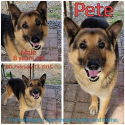 Thumbnail photo of Pete #3