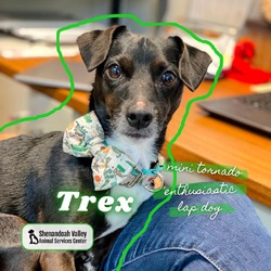 Thumbnail photo of Trex #1