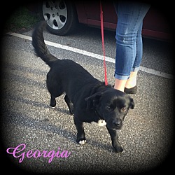 Thumbnail photo of Georgia #3