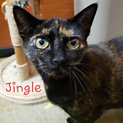 Thumbnail photo of JINGLE #2