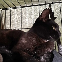 Photo of Stanley