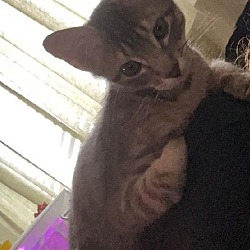 Photo of Frank