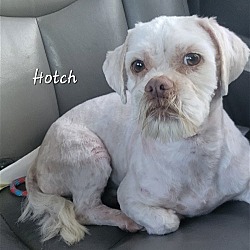 Photo of Hotch