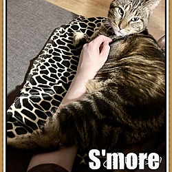 Thumbnail photo of S'MORE #1