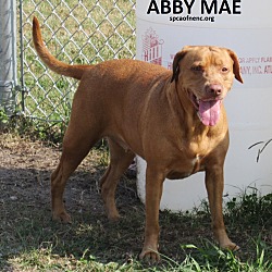 Thumbnail photo of Abby Mae #3