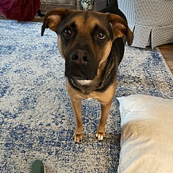 Photo of George
