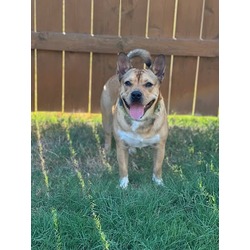 Photo of *BRUCE