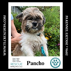 Thumbnail photo of Pancho 090724 #3