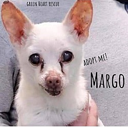 Thumbnail photo of Margo #1