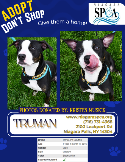 Thumbnail photo of Truman #1