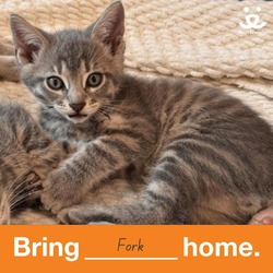 Thumbnail photo of Fork #1