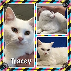 Photo of Tracey