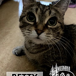 Thumbnail photo of Betty #1