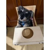 adopt-pet