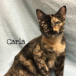 Photo of Carla