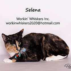Photo of SELENA