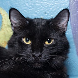 Photo of Tiny