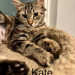 Photo of Kate