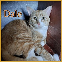 Photo of DALE