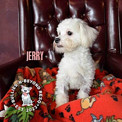 Thumbnail photo of Jerry #4