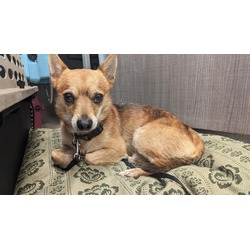 Photo of MAJOR