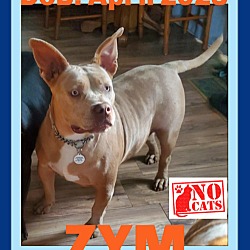 Thumbnail photo of ZYM -$50 #2