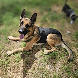 Photo of Graham