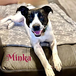 Photo of MINKA