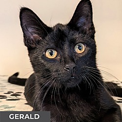 Thumbnail photo of Gerald #1