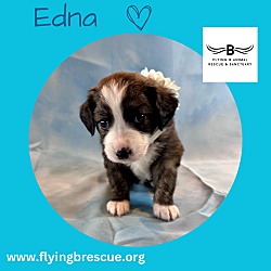 Thumbnail photo of Edna #2