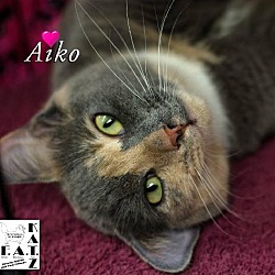 Thumbnail photo of Aiko #1