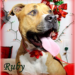 Thumbnail photo of Ruby ~ Holiday Promo ~ meet me #3