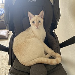 Photo of Lulu