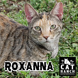 Photo of Roxanna