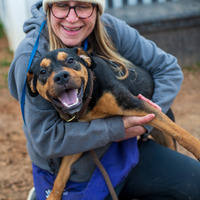 adopt a pet