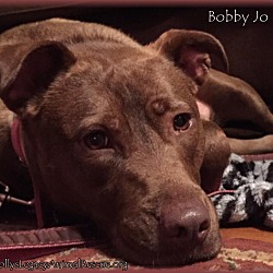 Thumbnail photo of BOBBY JO #1