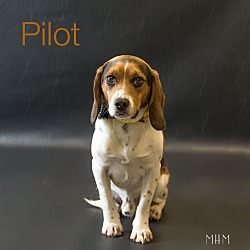 Thumbnail photo of Pilot #3