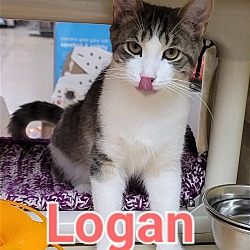 Thumbnail photo of Logan #2