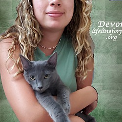 Thumbnail photo of Adopt DEVON & Daniel, Bonded #4