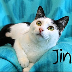 Thumbnail photo of Jinx #1