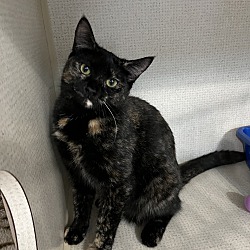 Photo of LUNA