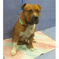Photo of TANK