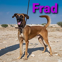 Photo of Frad