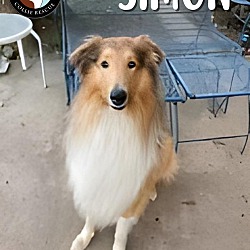Thumbnail photo of Simon #1