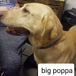 Photo of Big Poppa