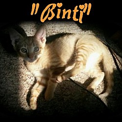 Thumbnail photo of Binti #1